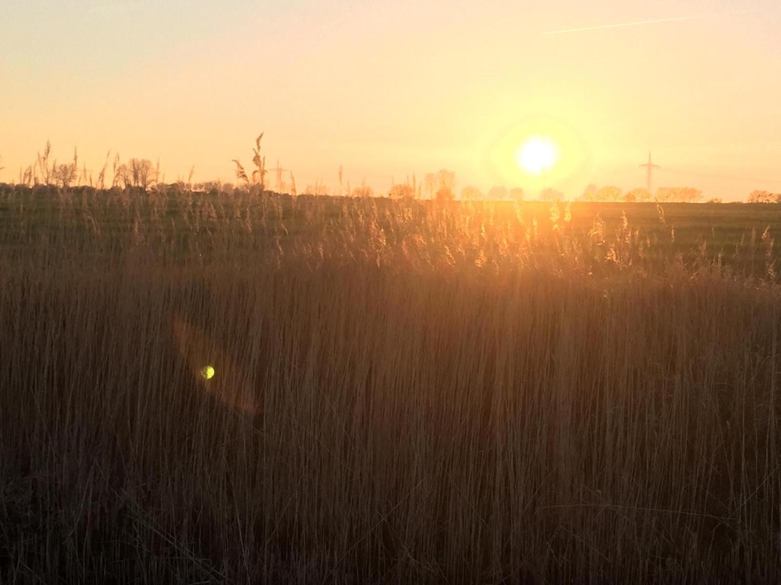 Tohuus Op'N Doerp Grossenbrode Exterior foto